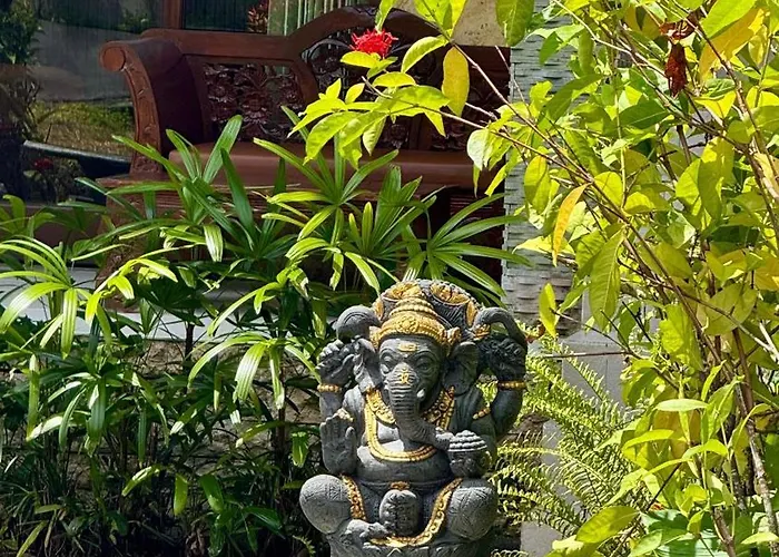Sari
